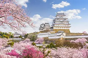 Himeji, Japan at Himeji Castle during spring cherry blossom season