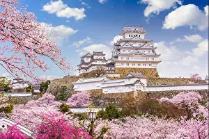 Himeji, Japan at Himeji Castle during spring cherry blossom season