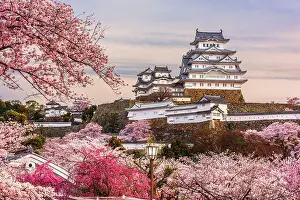 Himeji, Japan at Himeji Castle during spring cherry blossom season