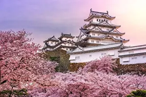Himeji, Japan at Himeji Castle during spring cherry blossom season