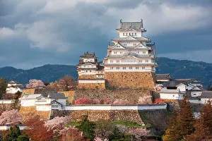 Himeji, Japan at Himeji Castle during spring cherry blossom season in the day