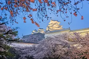 Himeji, Japan at Himeji Castle during spring cherry blossom season at twilight