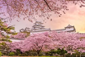 Himeji, Japan at Himeji Castle in spring with cherry blossoms in full bloom