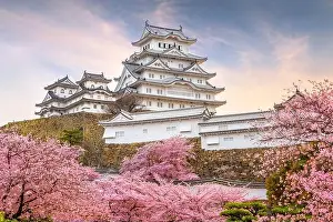 Landscape Prints: Himeji, Japan at Himeji Castle in spring with cherry blossoms in full bloom