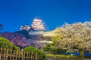 Himeji, Japan at Himeji Castle in spring with cherry blossoms at night