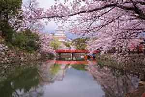 Himeji, Japan at Himeji Castle's surrounding moat in the spring season at dusk