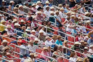 Multicultural Prints: Hispanic and Caucasian crowd wearing cowboy hats watching rodeo from box seats of the stadium stands