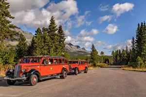 Montana Prints: Historic vintage red jammer tour buses parked at Marais Pass