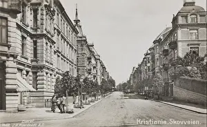 Transformation Prints: This historical photograph from 1462 shows Skovveien in Kristiania (now Oslo)