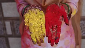 Giving Prints: Holi, festival of color, A woman girl lady wearing bangles picking organic dry powder color or colour or gulal