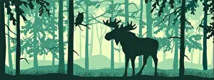 Antlers Prints: Horizontal banner of forest landscape