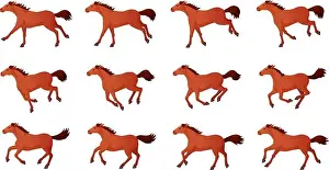 Horse animation. Cartoon horses running gait movements animate frames