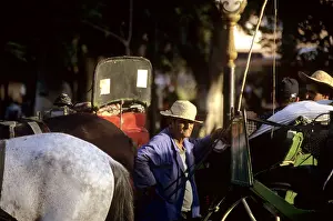 Medina Prints: Horse carriage driver waiting for custom