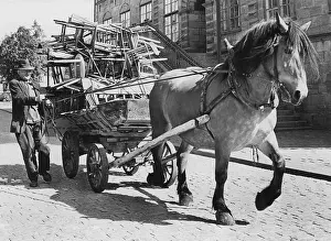 Farm Animals Prints: Horse and carriage. A man with his horse and carriage in a street in Jönköping Sweden
