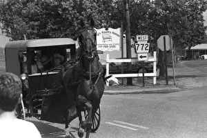 1980 Prints: Horse-drawn buggy on a country road in Pennsylvania, USA, approx. 1986