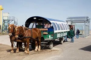 Ungulate Prints: Horse-drawn carriage, Hallig Hooge