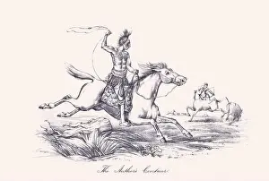 Horse illustration. 19th-century plate from a book on the practical treatise about the humane management of the horse
