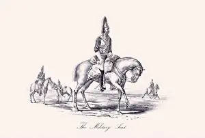 Horse illustration. 19th-century plate from a book on the practical treatise about the humane management of the horse