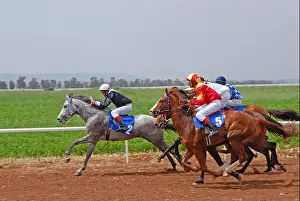 Race Track Prints: Horse race
