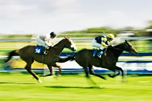 Motion Blur Prints: Horse Racing - in race to the finish line