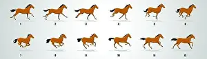 Kentucky Prints: Horse Run cycle silhouette, loop animation sprite sheet vector