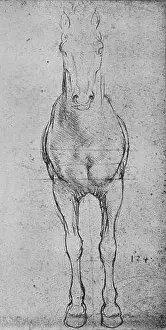 Proportion Prints: A Horse Seen from the Front, c1480 (1945). Artist: Leonardo da Vinci