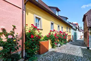 Domicile Prints: House facade, roses, alley, cobblestone