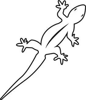 Reptiles Prints: house lizard vector icon illustration simple design