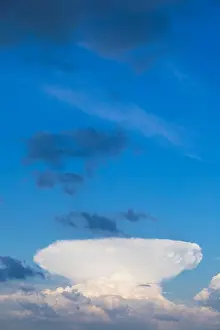 Nuclear Prints: A huge mushroom shaped cloud looms up in the bright blue sky of a british spring
