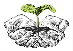 New Life Prints: Human hands holding young plant. Hand open palm holds small green tree. Sketch vector