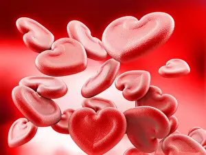 Cells Prints: Human heart shaped blood cells background. 3D illustration