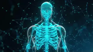 Polygonal Prints: Human xray with connection dots. Computer generated 3d render