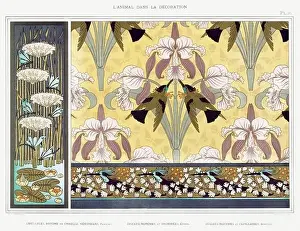 Hummingbird-Dragonfly / Illustration from L'animal dans la decoration (1897) by Maurice Pillard Verneuil