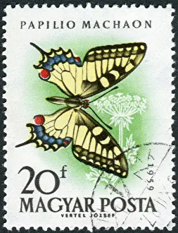 Postage Stamp Prints: HUNGARY - CIRCA 1959: Postage stamp printed in Hungary