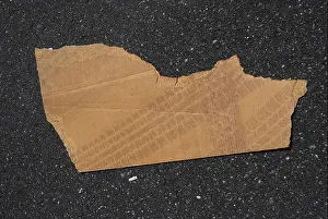 Throw Prints: hunk of cardboard debris with tire marks on it in parking lot