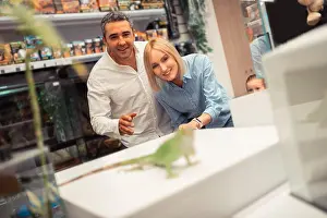 Businessmen Prints: Husband and wife looking at iguana while visiting pet shop