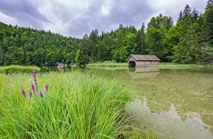 Lake Forest Prints: Hut on Braies Lake in Dolomiti mountains and Seekofel in background