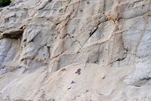 Transformation Prints: Hydrolysis is a mineral transformation due to the reaction of hydroxyl ion with the feldspars of granite