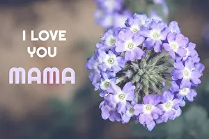 i love you mama, happy mother's day card with flower background