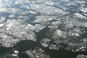Wintery Prints: Ice floes on the River Elbe at Magdeburg