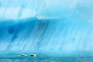 Images Dated 13th June 2016: Icebergs in Jokulsarlon glacial lagoon