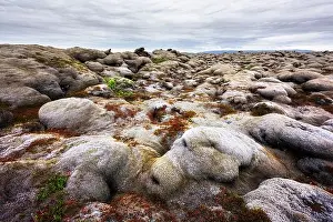 Iceland landscape with lava field covered with brown moss Eldhraun from volcano eruption and cloudy sky