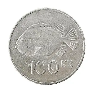 One Hundred Prints: Icelandic 100 krona coin