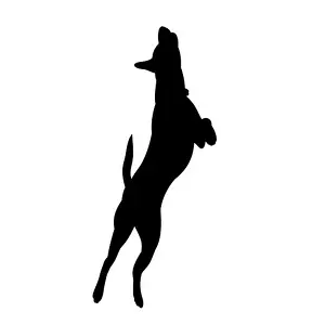 Labrador Prints: icon, black silhouette of a dog jumping