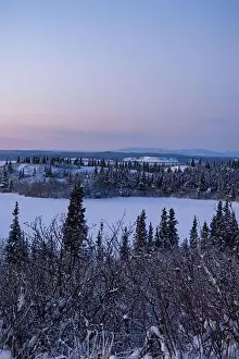 Hoof Prints: Icy lake surrounded by snowy trees under pink sky on a winter evening near Delta Junction