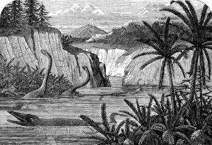 Jurassic Period Prints: Ideal flora and fauna of the Liassic period including Ichthyosaurus and Plesiosaurus