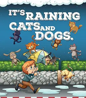 Wording Prints: Idiom poster with raining cats and dogs illustration