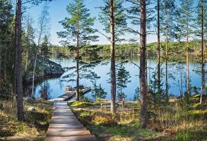 Images Dated 7th May 2016: Idyllic forest landscape with pier and sunlight at warm summer day in Finland