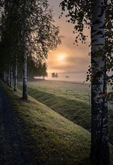 Images Dated 29th September 2018: Idyllic sunrise landscape with road and fog at beautiful autumn morning in Finland