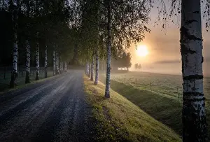 Idyllic sunrise landscape with road and fog at beautiful autumn morning in Finland
